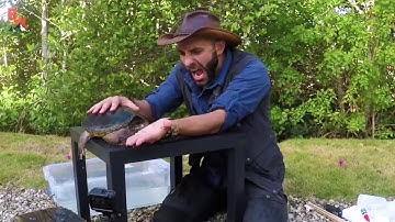 HE MISSED THE WOOD