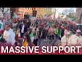 Iranian Americans flood the streets of DC in support of Trump's action against Tehran