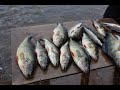 Это видео о рыбалке! Рыбалке в Карелии!