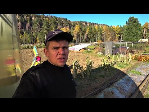Осенние хлопоты. Готовимся к холодам