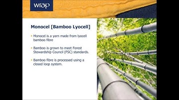 Bite-Sized: Introduction to Sustainable Fibres - Cellulosics