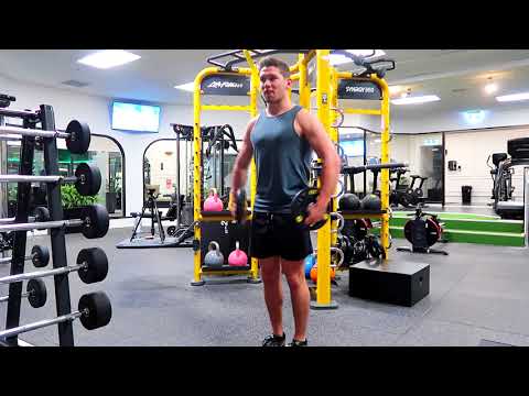Standing Lateral Plate Flies