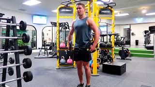 Standing Lateral Plate Flies