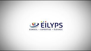 Eilyps