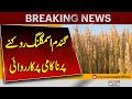 Wheat Smuggling Crackdown: Authorities Act After Major Failure | Breaking News | Pakistan News