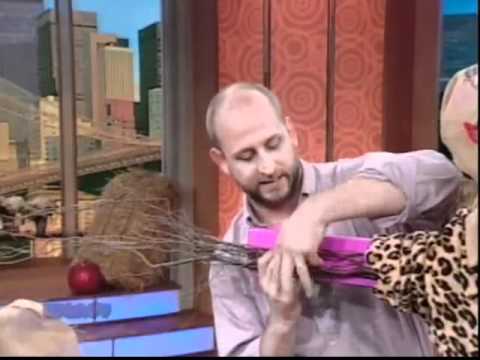 Timothy Haskell on the Wendy Williams Show