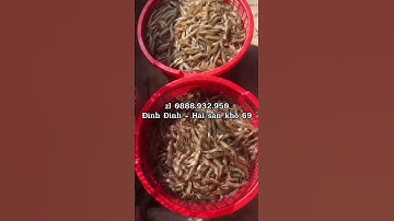 Tôm đất khô cà mau #shorts