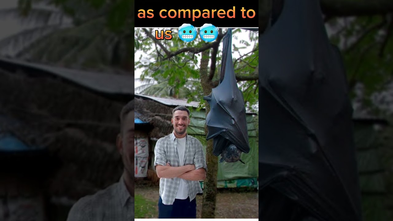 things that are bigger than your think. 