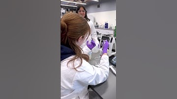 Bachelor of Science in Environmental Engineering at UNBC.