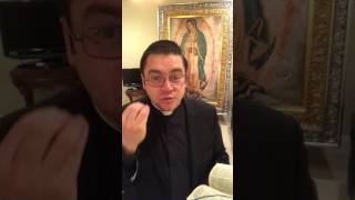 Mc 8,22-26 Ves Algo?