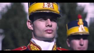 Romanian Armed Forces Day