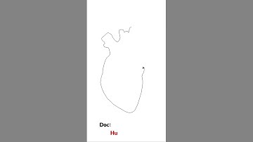 Human Heart Sketch in Python-#shorts #youtubeshorts #viral #trending #youtube#shortvideo#td#ytshorts