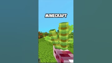 Action and Stuff 1.6 NEW FEATURES!  #minecraft