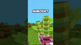 Action and Stuff 1.6 NEW FEATURES!  #minecraft