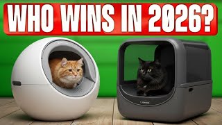 ✅ 7 Best BUDGET Automatic Litter Boxes on Amazon [2026] Self-Cleaning Litter Boxes / Large Cats
