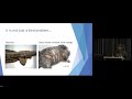 Understanding and treating starvation and refeeding syndrome in Australian wildlife - Dr Anne Fowler