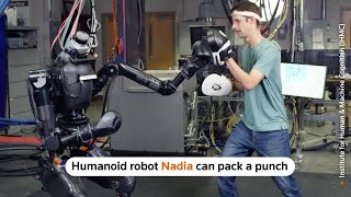 Robot packs a punch against human opponent | Reuters