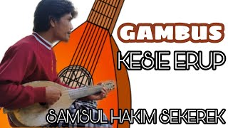 Gambus Kesie Erup oleh Samsul Hakim Sekerek -AN Channel
