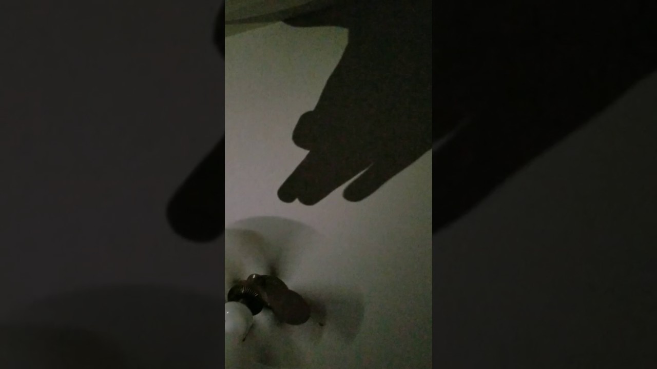 Dog shadow puppet - YouTube