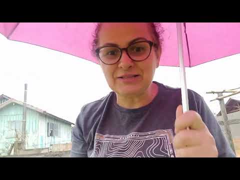 mostrando a horta esta com chuva.nao pude capinar