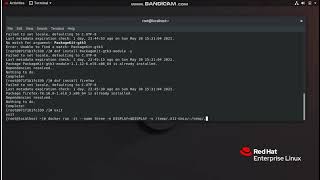Running GUI in docker on redhat linux