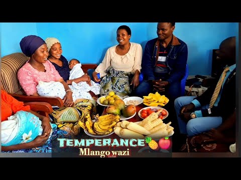 TEMPERANCE By Mlango Wazi