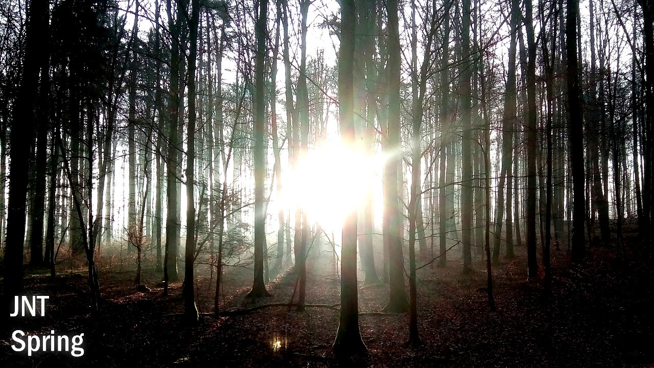 jetkey - Spring [Free to use Music]