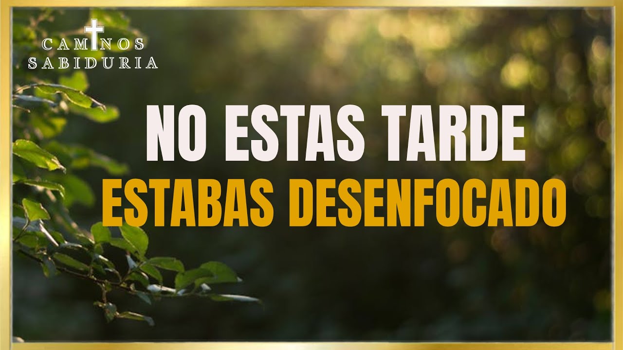 La Vida No Se Te Fue  Se Te Fue El Enfoque.