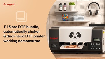 F13 pro DTF bundle, automatically shaker & dual-head DTF printer working demonstrate