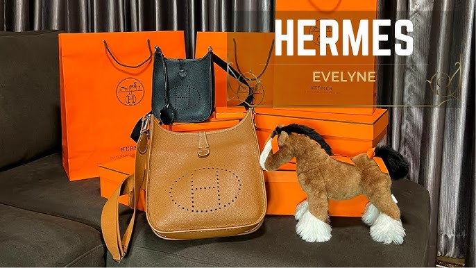 HERMÈS EVELYNE 16 VS 29  COMPARISON & IN DEPTH REVIEW 