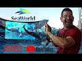 NEW SHOW - Orca Encounter A Killer Whale Experience | SeaWorld Orlando