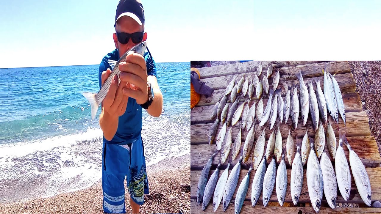 KEFAL MELANUR SOKAR DİDEKLİ AVI