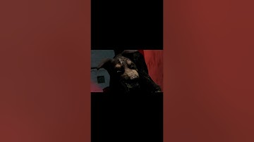 Need For Speed The Run (2011) |#shorts|New Episode is online #needforspeed #needforspeedtherun