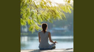 Echoes of Zen Harmony