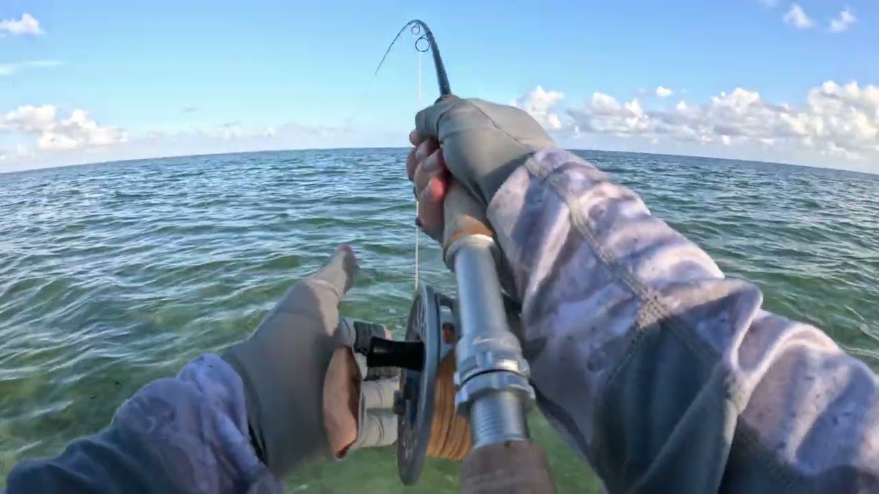 Seycheles bonefish catch. Сейшели бонфіш / альбула нахлист 2025