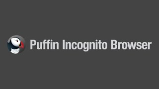 Puffin Incognito Browser: Protects users from malicious ads and trackers. screenshot 1