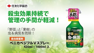 野菜と果樹の害虫（発生を長く抑える）＆病気（予防+治療）に！　ベニカベジフルＶスプレー