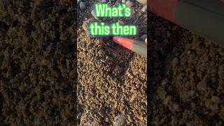 Metal detecting the Cornish coast #metaldetrctingcornwallbeach #family #piratetreasure #adventure