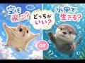 空を飛ぶか水中で生きれるかだったらどっち?