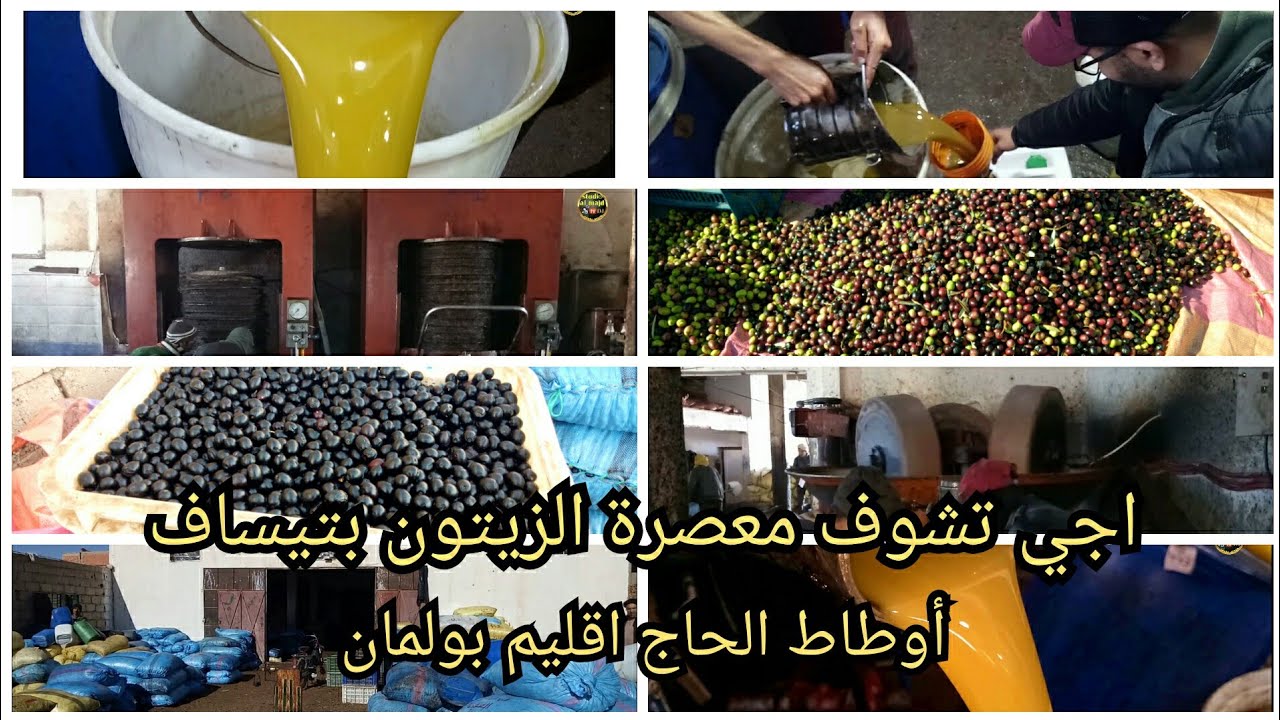 أجي تشوف مراحل طحن وعصر الزيتون بتيساف اوطاط الحاج إقليم بولمان tissaf