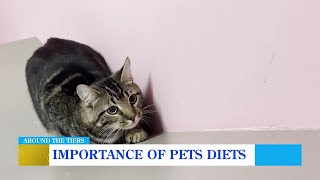 Broome County Humane Society explains the importance of a healthy diet for your pets