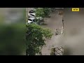 У Києві птахи атакували людину