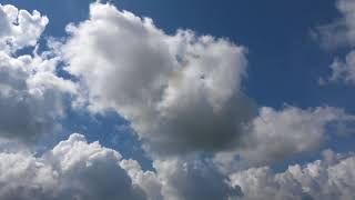 Falcon 9 D12 Bill Harwood Hd