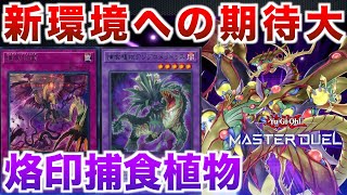 烙印捕食植物】有利対面が増えそうで新環境で活躍できそうな捕食植物