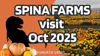 Exploring Spina Farms Pumpkin Patch | The Best Fall Spot Near San Jose!