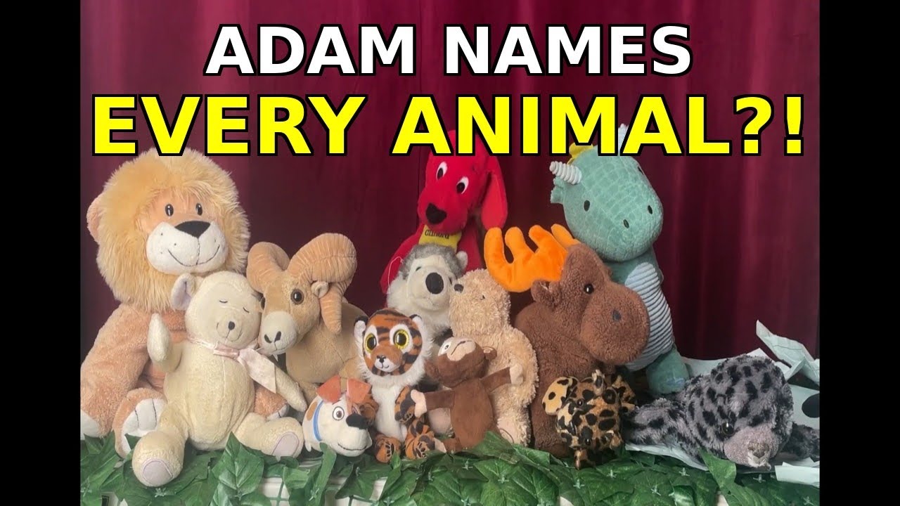 Plushy Bible Theatre - Episode Two: (Part 1/2) Adam Names EVERY Animal?!