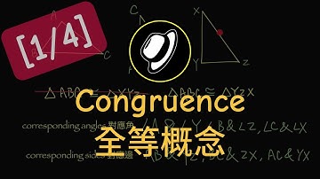 全等概念 | Congruence