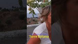 La Semplicità Dellorto Verticale A Portata Di Mano