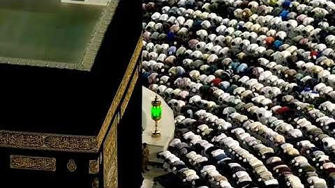 تلاوة خاشعة تشرح الصدور من فواتح سورة الحج   فجرية بديعة للشيخ.د/#ماهر المعيقلي. Quran