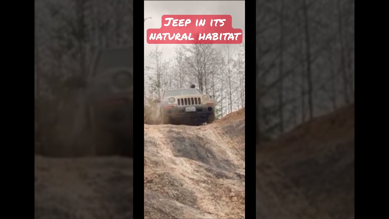 A JEEP in its Natural Habitat